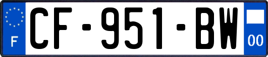 CF-951-BW