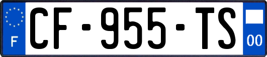 CF-955-TS