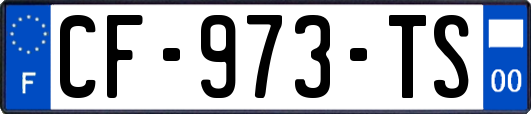 CF-973-TS