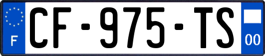 CF-975-TS