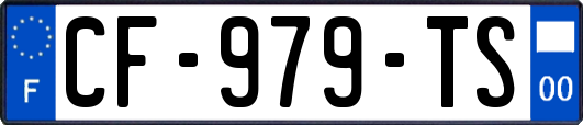 CF-979-TS