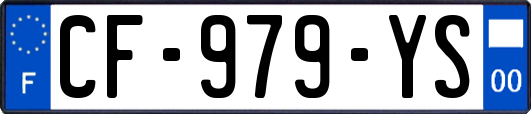 CF-979-YS