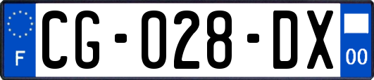 CG-028-DX