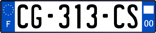 CG-313-CS
