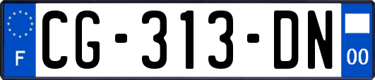 CG-313-DN