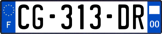 CG-313-DR