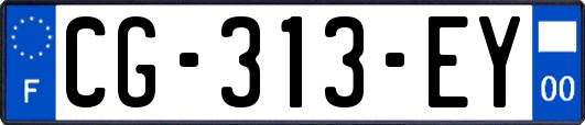 CG-313-EY