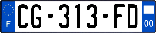 CG-313-FD