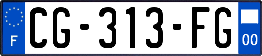 CG-313-FG
