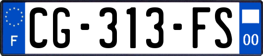 CG-313-FS