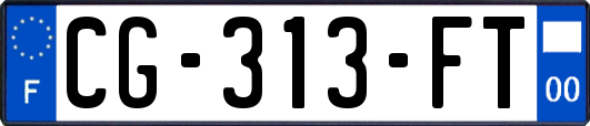 CG-313-FT