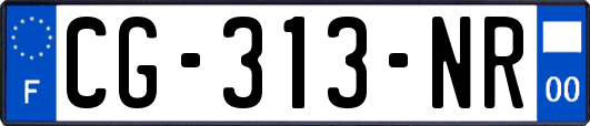 CG-313-NR