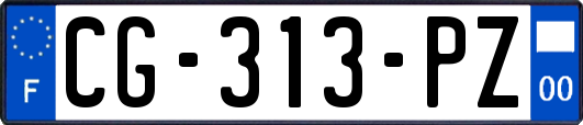 CG-313-PZ