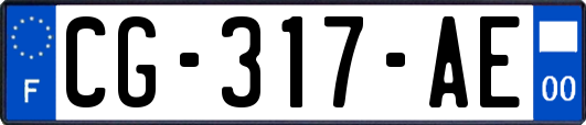 CG-317-AE