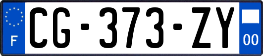 CG-373-ZY