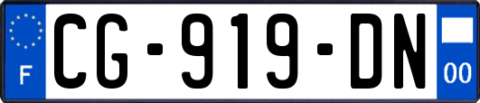 CG-919-DN