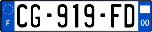 CG-919-FD