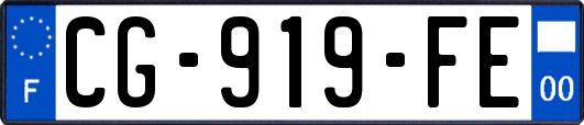 CG-919-FE