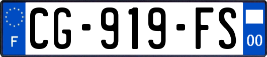 CG-919-FS