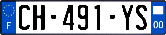 CH-491-YS