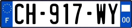 CH-917-WY