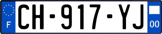 CH-917-YJ