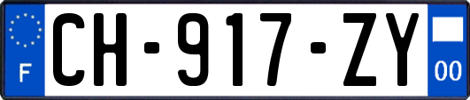 CH-917-ZY