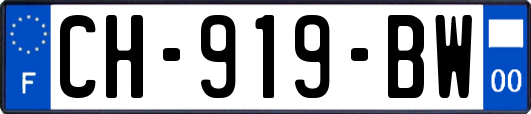 CH-919-BW