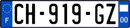 CH-919-GZ