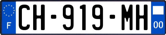 CH-919-MH