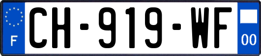 CH-919-WF