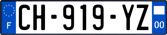 CH-919-YZ