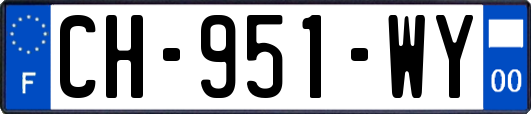 CH-951-WY
