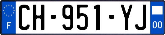 CH-951-YJ