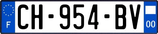 CH-954-BV