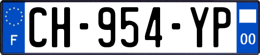 CH-954-YP