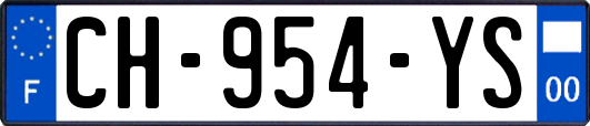 CH-954-YS