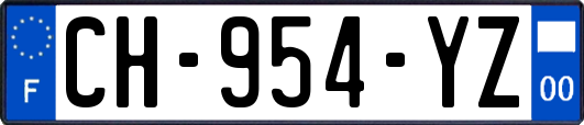 CH-954-YZ