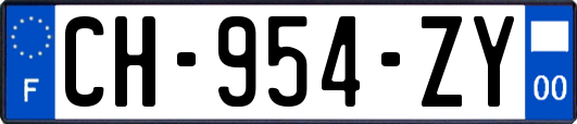 CH-954-ZY