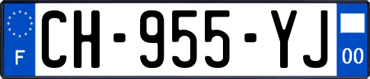 CH-955-YJ