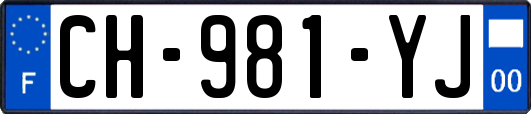CH-981-YJ