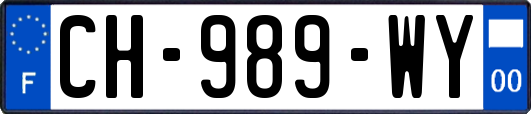 CH-989-WY
