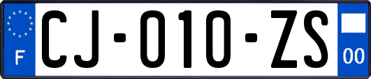 CJ-010-ZS