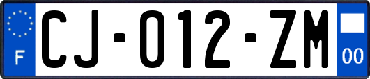 CJ-012-ZM