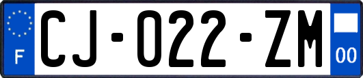 CJ-022-ZM