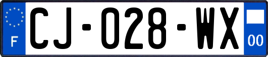 CJ-028-WX