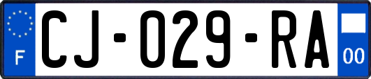 CJ-029-RA