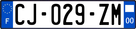 CJ-029-ZM