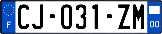 CJ-031-ZM