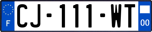 CJ-111-WT